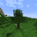 Maple Tree.png