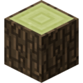 White Elm Log Placed.png