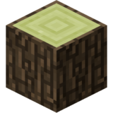 White Elm Log Placed.png
