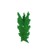 Water Canna Age0.png