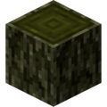 Willow Log Placed.png