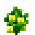 Yellow Bell Pepper 6.png
